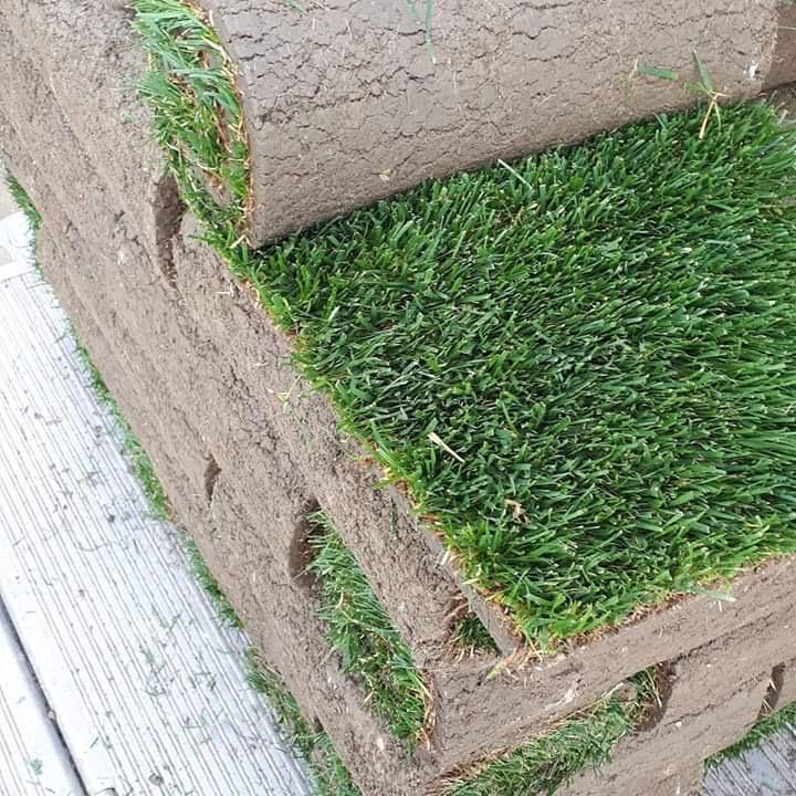 5523fe57 a559 4650 beb6 8be0cf3d0666