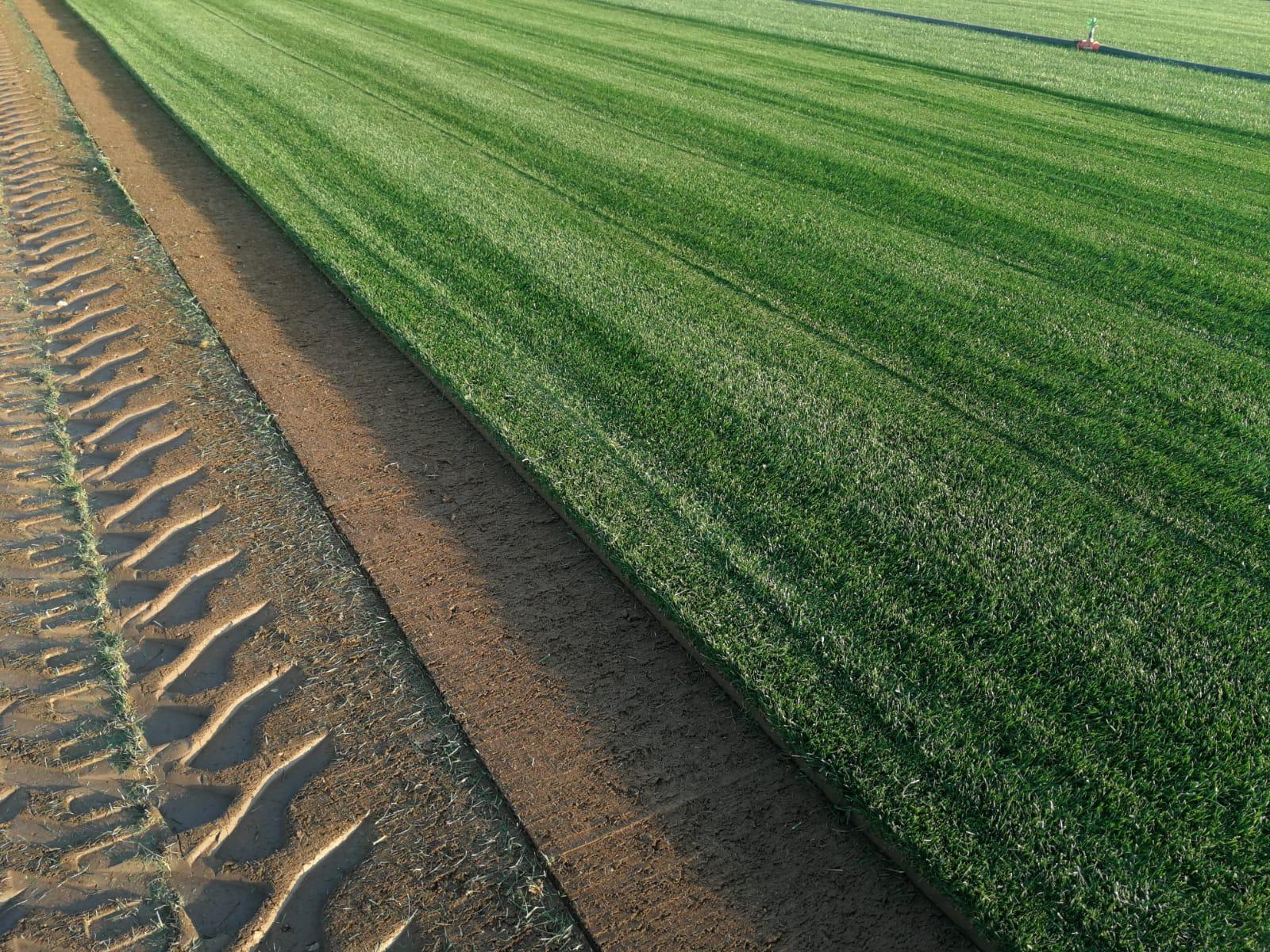 74837e45 f3fa 441b aab1 f62ed1d2c050