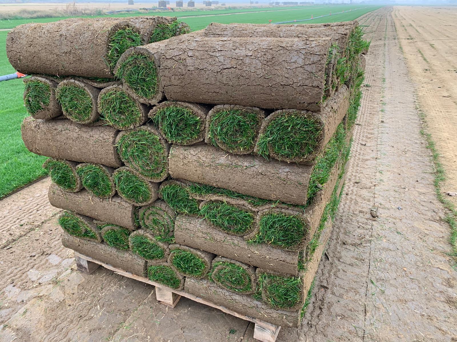 cf633e9d 6762 4a27 8371 9924cc00c263