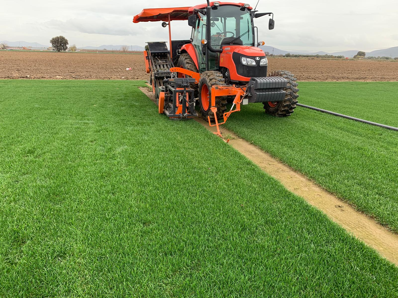 de1c3509 b42d 4712 b91f 7a746f61c6d4