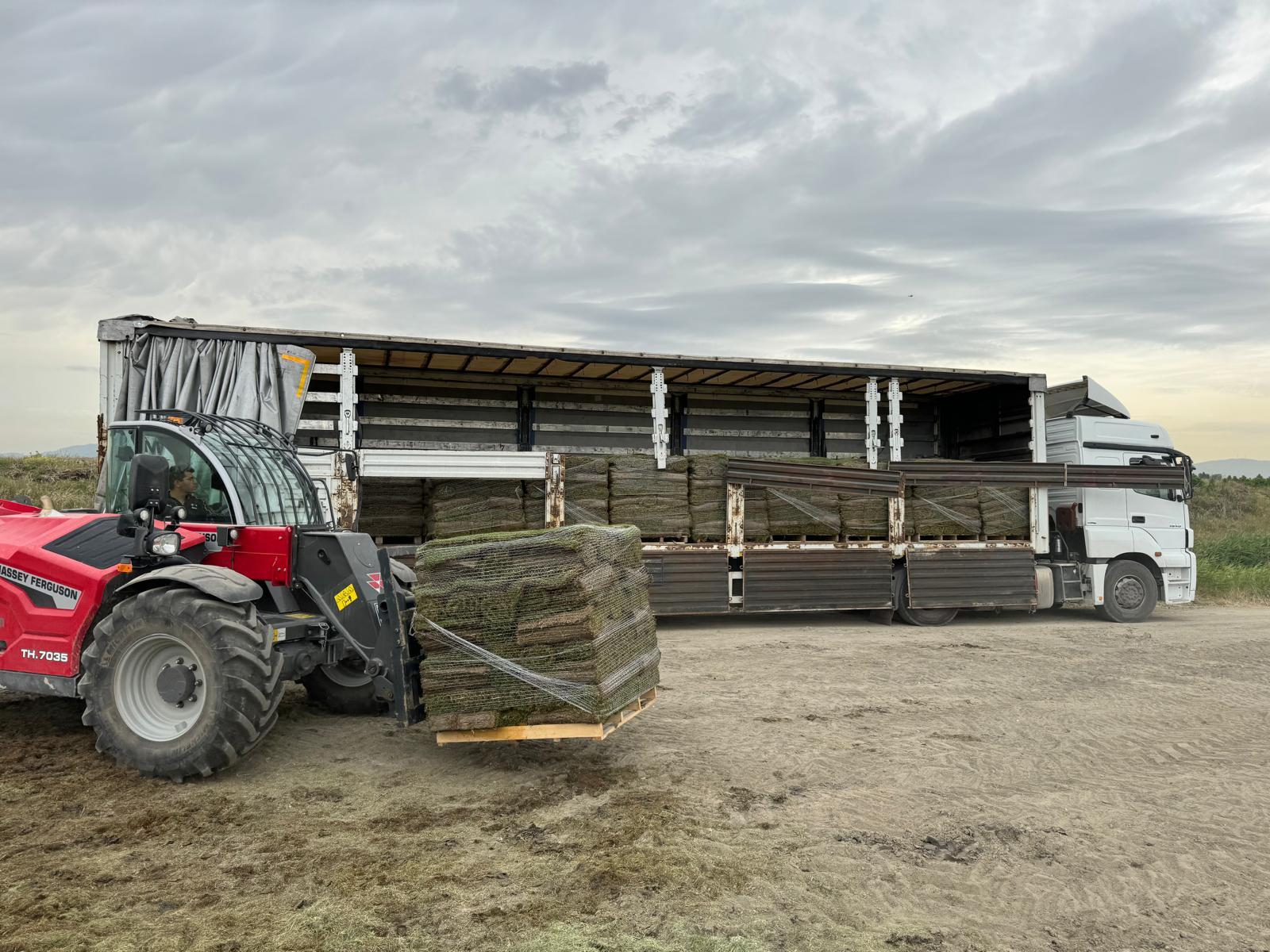 ef04917c 064b 4f65 b7f2 a2eb0d85f818